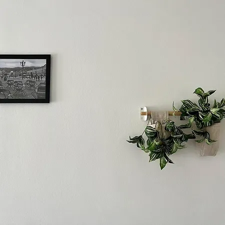 Appartamento Minù House - Confortevole Vicino Al Centro Torino