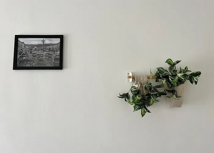 דירה Minu House - Confortevole Vicino Al Centro טורינו